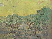 Olive Grove with Picking Figures (nn04), Vincent Van Gogh